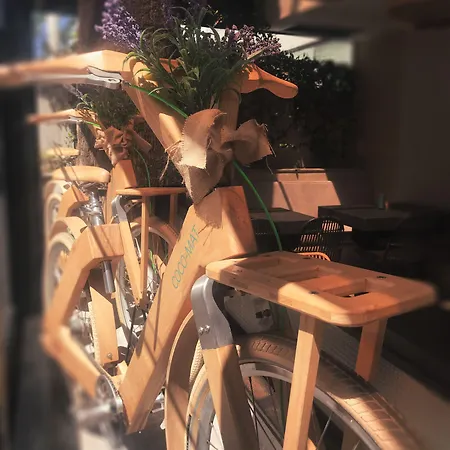 埃拉卡蒂豪华精品情趣酒店 酒店 Rhodes City